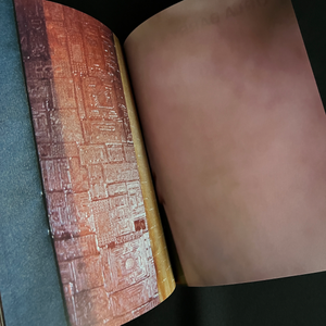  A-Prior issue #7, a monographic issue on Belgian photographer Dirk Braeckman
