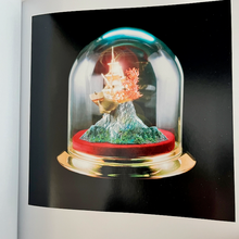 Load image into Gallery viewer, Nadine Barth - Bling Bling Baby!
