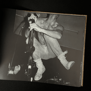 Anne Ulrich and Lee Hollis - Got to land somewhere. Punk and hardcore live shots Blicero Books