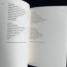 Load image into Gallery viewer, Henk van der Waal - Schuldsanering Poetry book Henk vander Waal, poëzie, poetry, eerste druk, ex libris
