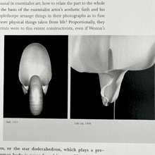 Load image into Gallery viewer, Jonathan Greene (ed.) - The Garden of Earthly Delights. Photographs by Edward Weston and Robert Mapplethorpe Book Catalog
