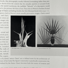 Load image into Gallery viewer, Jonathan Greene (ed.) - The Garden of Earthly Delights. Photographs by Edward Weston and Robert Mapplethorpe Book Catalog
