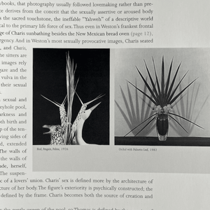 Jonathan Greene (ed.) - The Garden of Earthly Delights. Photographs by Edward Weston and Robert Mapplethorpe Book Catalog