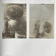 Load image into Gallery viewer, Sigmar Polke - Photoworks: When Pictures Vanish Photography book Blicero Books
