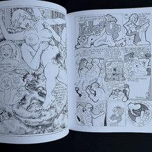 Load image into Gallery viewer, The Complete Wimmen&#39;s Comix Blicero Books
