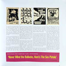 Load image into Gallery viewer, The Sex Pistols - 1977: The Bollocks Diaries Book Blicero Books
