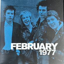 Load image into Gallery viewer, The Sex Pistols - 1977: The Bollocks Diaries Book Blicero Books
