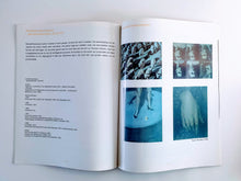 Load image into Gallery viewer, Elke Boon, Michael Borremans, Thomas Bogaert, Freya Maes, Thomas Mistiaen Brochure Rare
