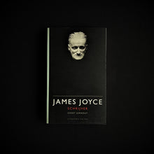 Load image into Gallery viewer, Geert Lernout - James Joyce, Schrijver Books Blicero Books
