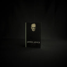 Load image into Gallery viewer, Geert Lernout - James Joyce, Schrijver Books Blicero Books
