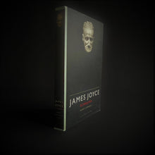 Load image into Gallery viewer, Geert Lernout - James Joyce, Schrijver Books Blicero Books
