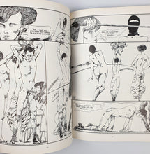 Load image into Gallery viewer, Guido Crepax - Venus in Furs Blicero Books
