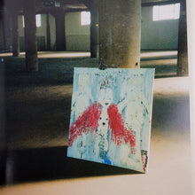 Load image into Gallery viewer, Harmony Korine - Raiders Catalog Blicero Books
