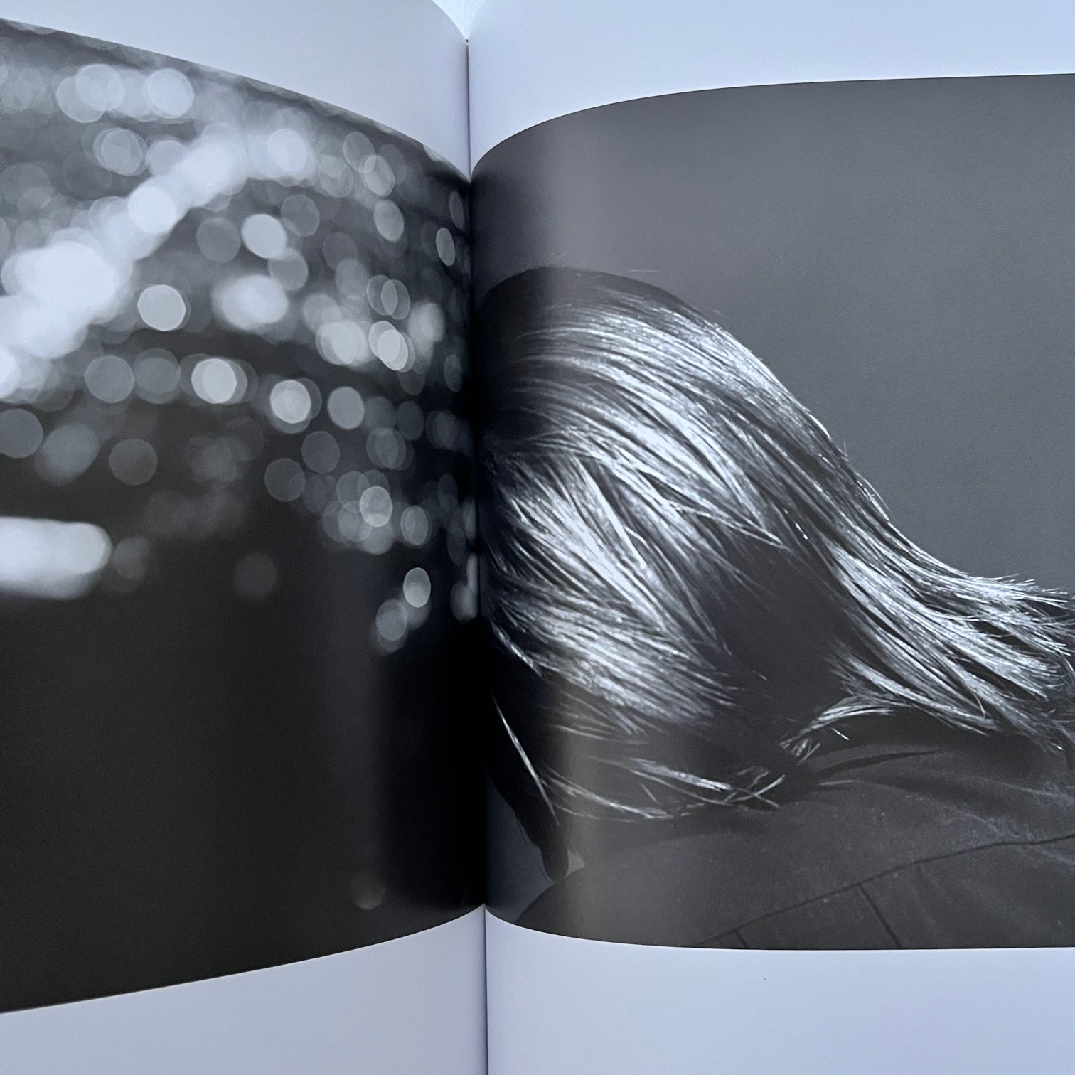 Hedi Slimane - Stern Fotografie. Portfolio Nr. 62 – Blicero Books
