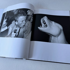 Hedi Slimane - Stern Fotografie. Portfolio Nr. 62 Blicero Books