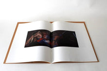 Load image into Gallery viewer, Inez Van Lamsweerde - Photographs Photography book Blicero Books
