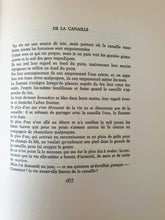 Load image into Gallery viewer, Les maudits de la littérature mondiale. 12 volumes Book Blicero Books
