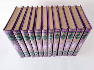 Les maudits de la littérature mondiale. 12 volumes Book Blicero Books