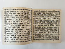 Load image into Gallery viewer, Les maudits de la littérature mondiale. 12 volumes Book Blicero Books
