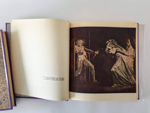 Load image into Gallery viewer, Les maudits de la littérature mondiale. 12 volumes Book Blicero Books
