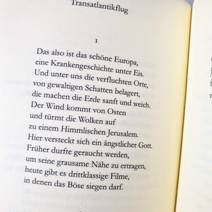 Michael Krüger - Ins Reine Book Blicero Books
