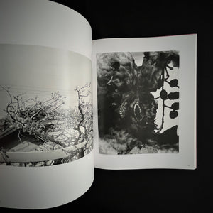 Noboyoshi Araki - Akt Tokyo 1971-1991 Book Blicero Books