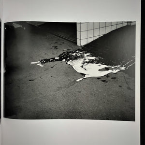 Noboyoshi Araki - Akt Tokyo 1971-1991 Book Blicero Books