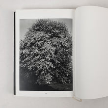 Load image into Gallery viewer, Péter Nadas -Een zweem van licht Book Blicero Books
