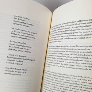 Tjitske Jansen - Het moest maar eens gaan sneeuwen Book Nederlands