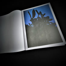 Load image into Gallery viewer, Todd Cole - Spirit Myth Zines Blicero Books
