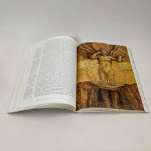 Load image into Gallery viewer, Visions du futur: Une histoire des peurs et des espoirs de l&#39;humanité Book Blicero Books
