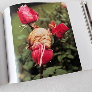 Wolfgang Tillmans - Wer Liebe wagt lebt morgen Photo Book Blicero Books