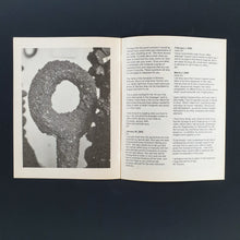 Load image into Gallery viewer, Zin Taylor- The allegorical function of dirt Booklet Blicero Books
