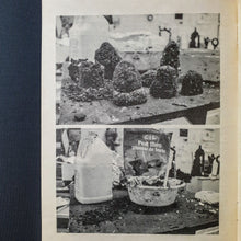 Load image into Gallery viewer, Zin Taylor- The allegorical function of dirt Booklet Blicero Books
